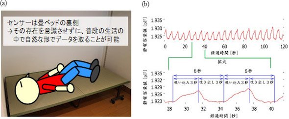 （a）ベッドセンサーとして使用する際のイメージ図、（b）ベッド上で人が周期的に呼吸した際のセンサーの静電容量値