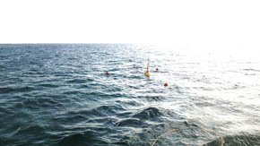 海面に浮かぶ様子