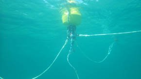 海中から見た様子
