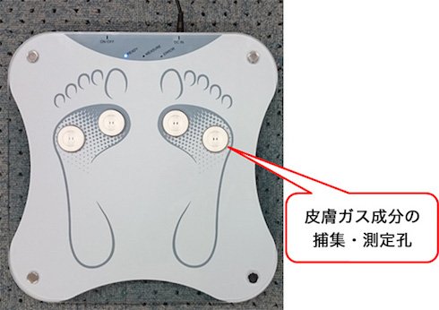 同装置の概観