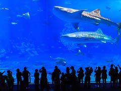 3Dゲーム開発の第一人者が地方都市「沖縄」で今考えていること