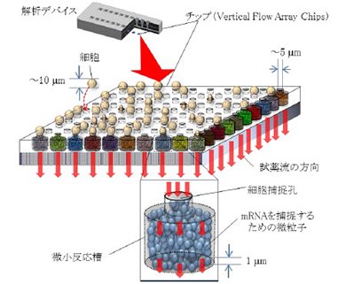 開発したデバイスとチップの構成