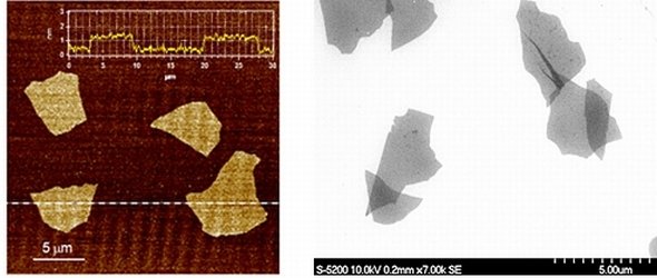 左は酸化グラフェンの原子間力顕微鏡画像、右は同じく走査型電子顕微鏡画像 出典：NEDO