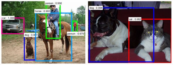 画像認識の例（出典：Liu Wei et al SSD：Single Shot MultiBox Detector）