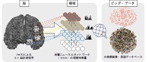 脳－機械融合知能の概念図（クリックして拡大） 出典：京都大学