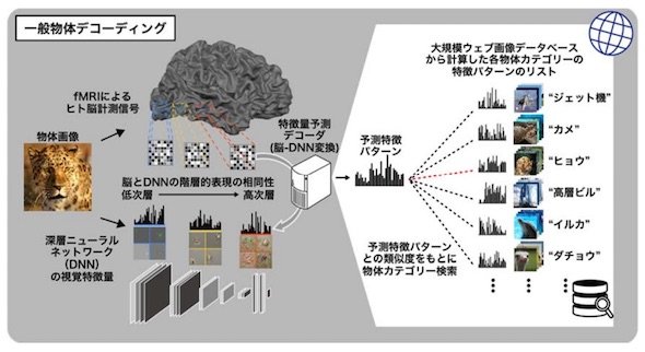 一般物体デコーディングの概要図（クリックして拡大） 出典：京都大学
