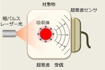フィルム状の超音波圧電振動子 出典：科学技術振興機構