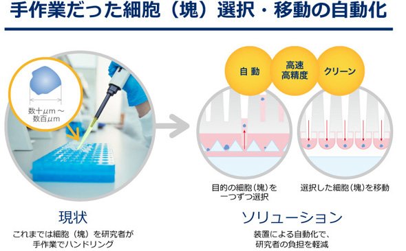 手作業だった細胞（塊）の選択、移動を自動化