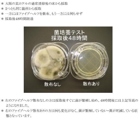 菌培養テストの結果
