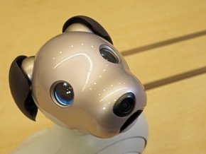豊かな表現力を実現するため「目」にOLEDを採用