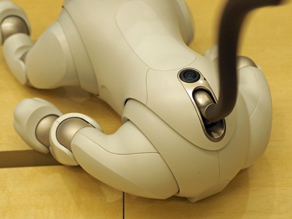 丸い関節も「aibo」の特長の1つだ