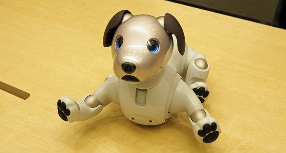 かわいいポーズを決める「aibo」