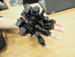 5本指モデル