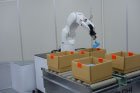 「複数AI協調制御技術」のデモ