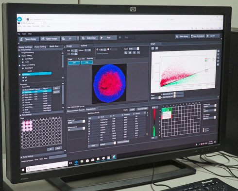 解析ソフトウェア「NoviSight」。多次元観察技術で観察可能な画像データ（FV3000で捉えたもの）と、NoviSightを組み合わせることで、3次元定量解析を実現。学術研究だけではなく、創薬支援や再生医療支援などをサポートする