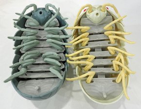 どちらが第1弾で、どちらが第2弾でしょうか？